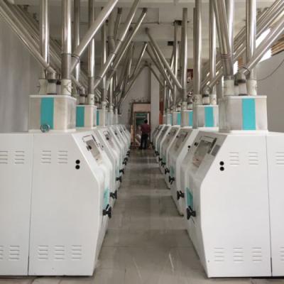 Wheat Flour Milling Complete Line For Bread Cake Pasta